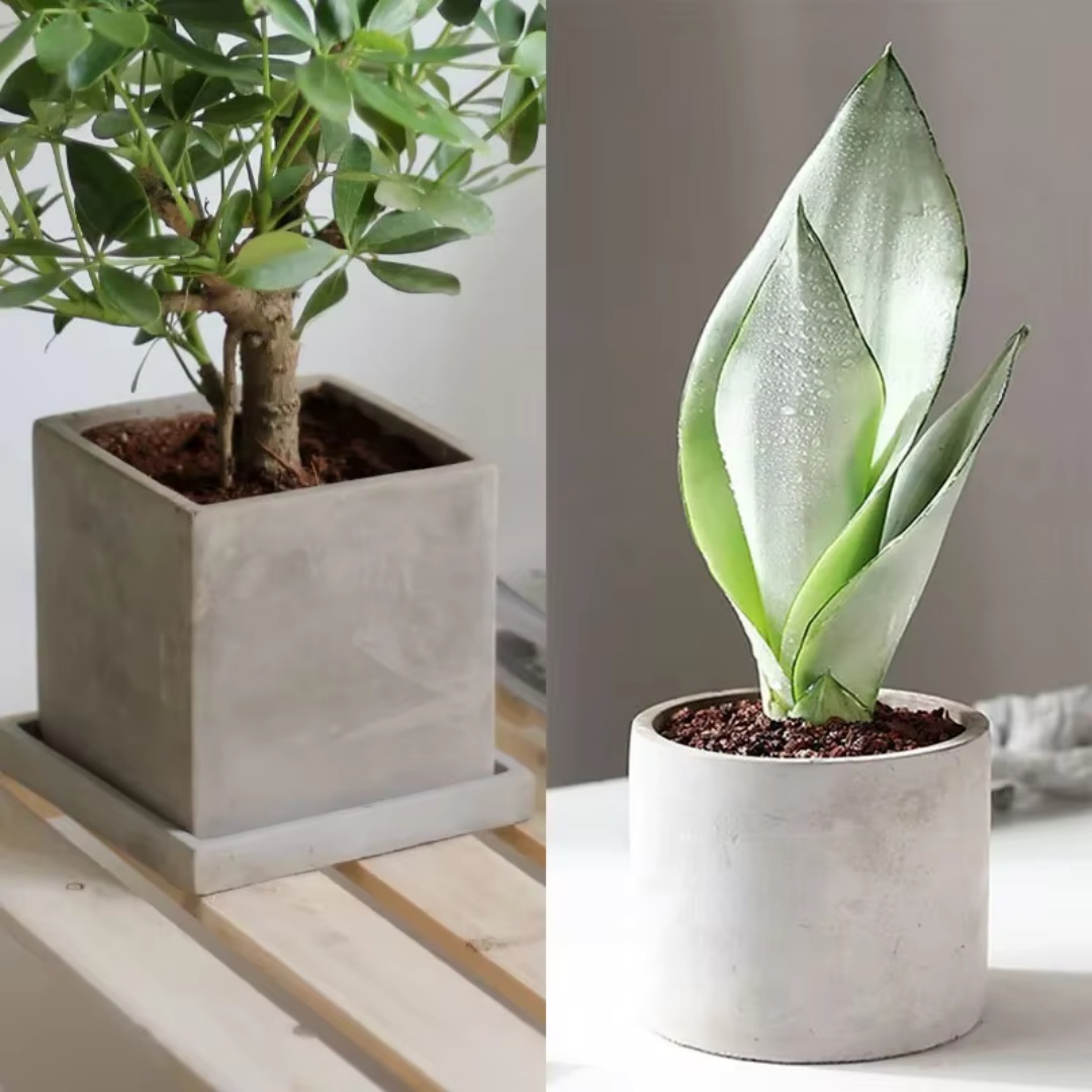 Potsticker Mold - 15cm Large Size Round Concrete Flowerpot